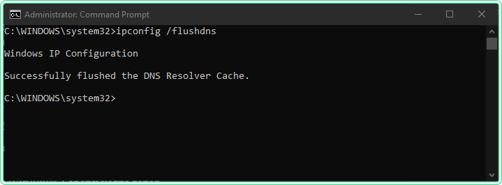 ipconfig /flushdns command showing Before flushing the DNS Resolver Cache message