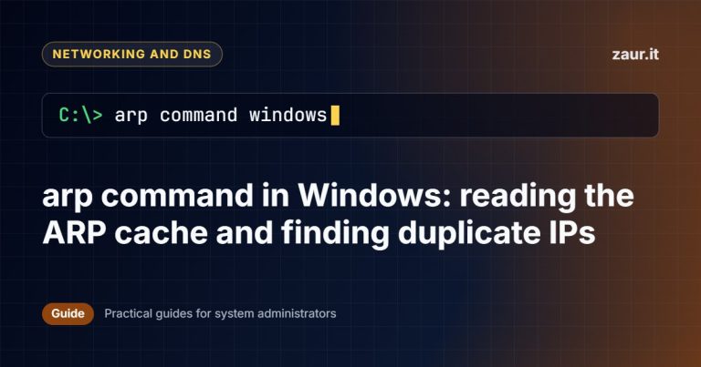 arp command in Windows: reading the ARP cache and finding duplicate IPs
