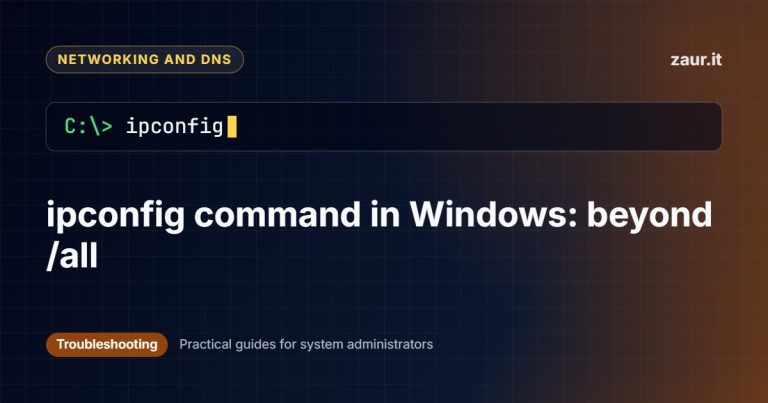 ipconfig command in Windows: beyond /all