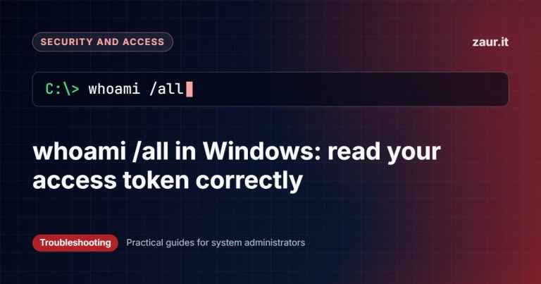 whoami /all in Windows: read your access token correctly