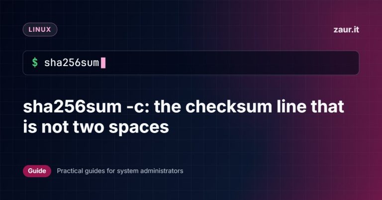 sha256sum -c: the checksum line that is not two spaces
